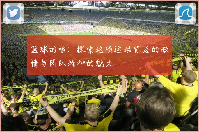 篮球的哦：探索这项运动背后的激情与团队精神的魅力