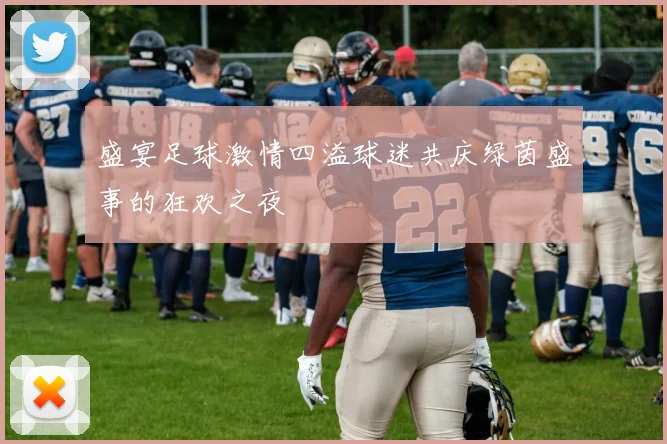 盛宴足球激情四溢球迷共庆绿茵盛事的狂欢之夜