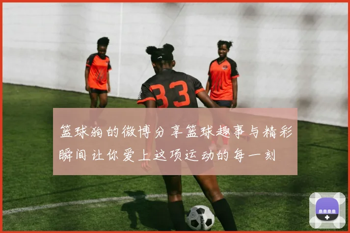 篮球狗的微博分享篮球趣事与精彩瞬间让你爱上这项运动的每一刻